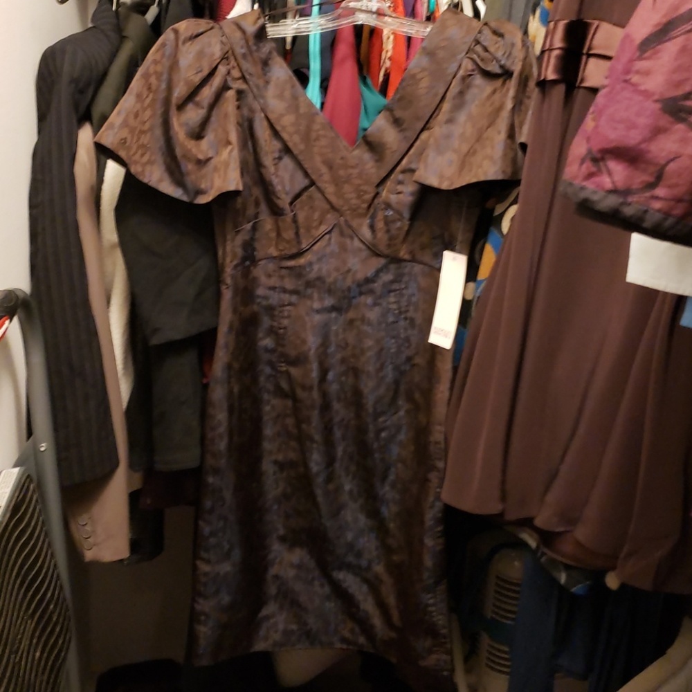 Nwt gorgeous Badgley Mischka dress